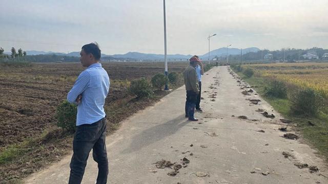 ：全力推动秋种季紧抓落实促丰收尊龙人生就是博舒城县干汊河镇(图1)