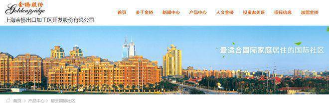 楼处电线金桥碧云澧悦销售中心尊龙AG网站金桥碧云澧悦售(图9)
