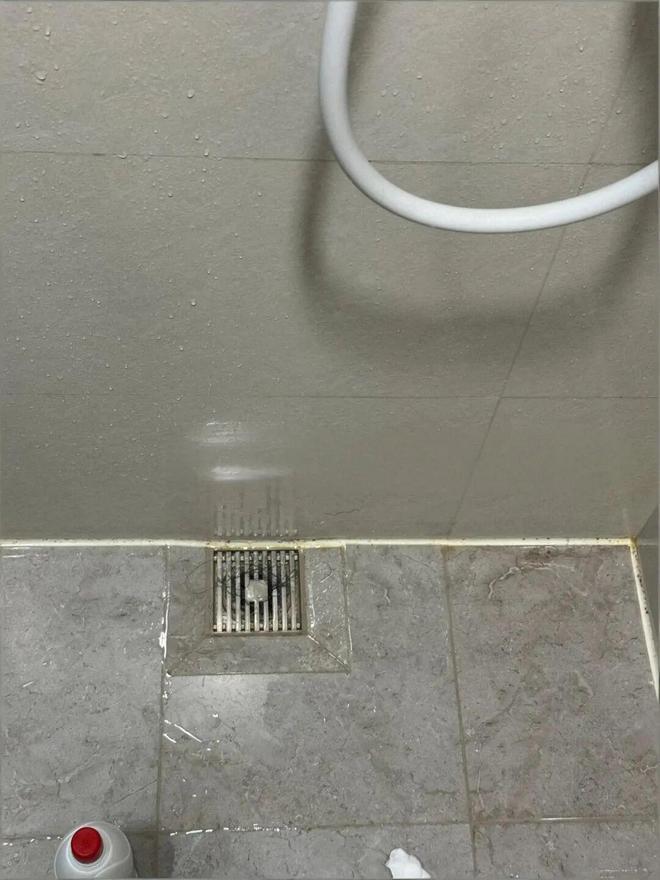 一分钱不花就轻松搞定新年大扫除尊龙凯时还是“邪修”野路子多！(图9)