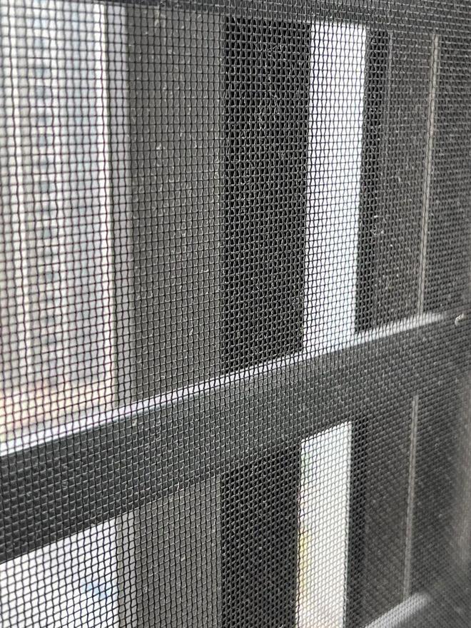 一分钱不花就轻松搞定新年大扫除尊龙凯时还是“邪修”野路子多！(图34)